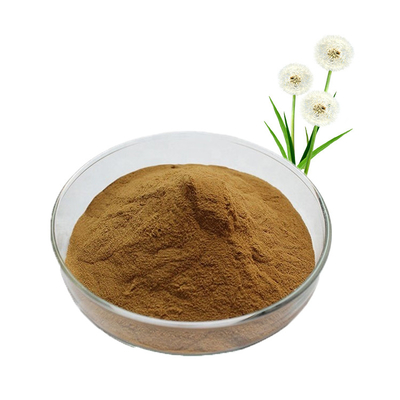 Healthcare Supplement Dandelion Powder Flavonoids Organic Dandelion Extract
