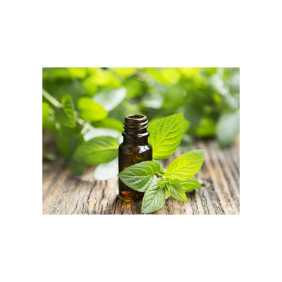 MSDS Food Grade Additives 99% Peppermint Essential Oil CAS 8006-90-4