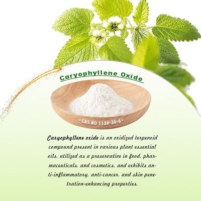 Caryophyllene oxide powder with melting point 55-62 °C boiling point 301.3°C and density 0.96 for pharmaceutical applications