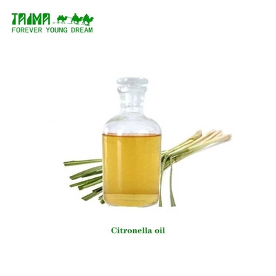 HACCP Óleo essencial de citronela natural e orgânico puro