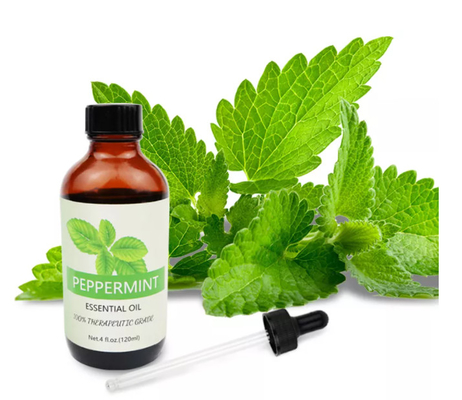 ODM 100% óleo essencial de hortelã-pimenta natural para cuidado da pele