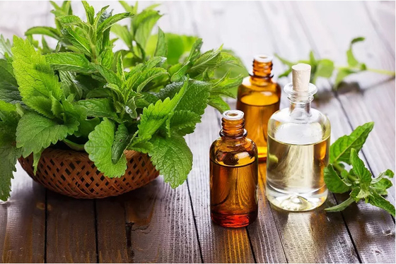 Óleo essencial de hortelã-pimenta 100% natural e orgânico 30 ml