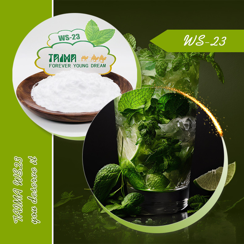 Agente Refrescante WS-23 em Pó 99% CAS No 51115-67-4 Grau Alimentício Agente Refrescante WS23 para Alimentos, Bebidas e Vape