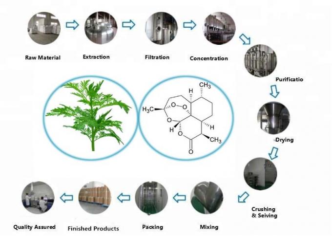 Extracto orgânico puro de Artemisia Annua 99% Pureza CAS 63968-64-9 0