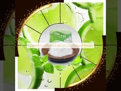 E líquido CAS 51115-70-9 WS-27 Agente refrigerante em pó